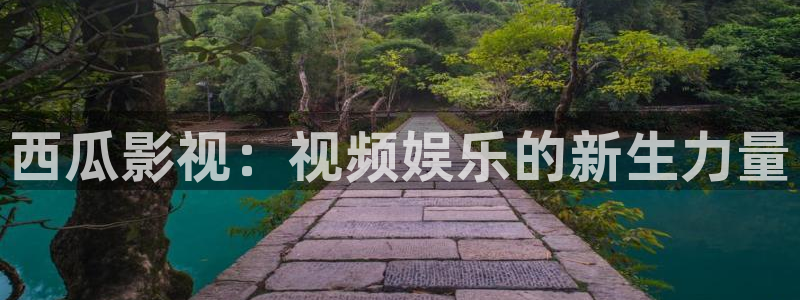 麻豆片子排行榜前十名：西瓜影视：视频娱乐的新生力量