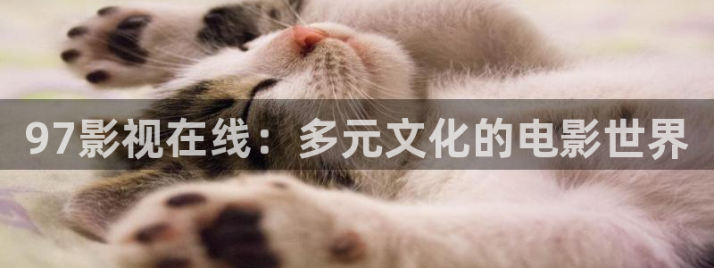 国产麻豆免费电影