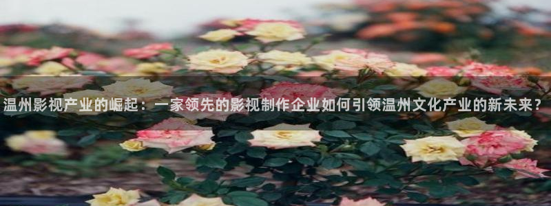 麻豆影视你懂的：温州影视产业的崛起：一家领先的影视制作企业如何引领温州文化产业的新未来？